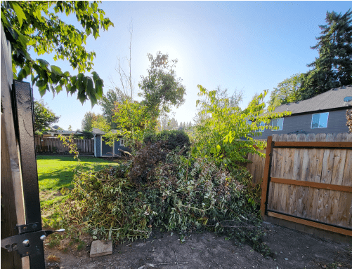 Yard Debris Removal | Patriot Hauling & Junk Removal Planning on cleaning your yard up this spring? Call Patriot Hauling & Junk Removal for Yard Debris Removal