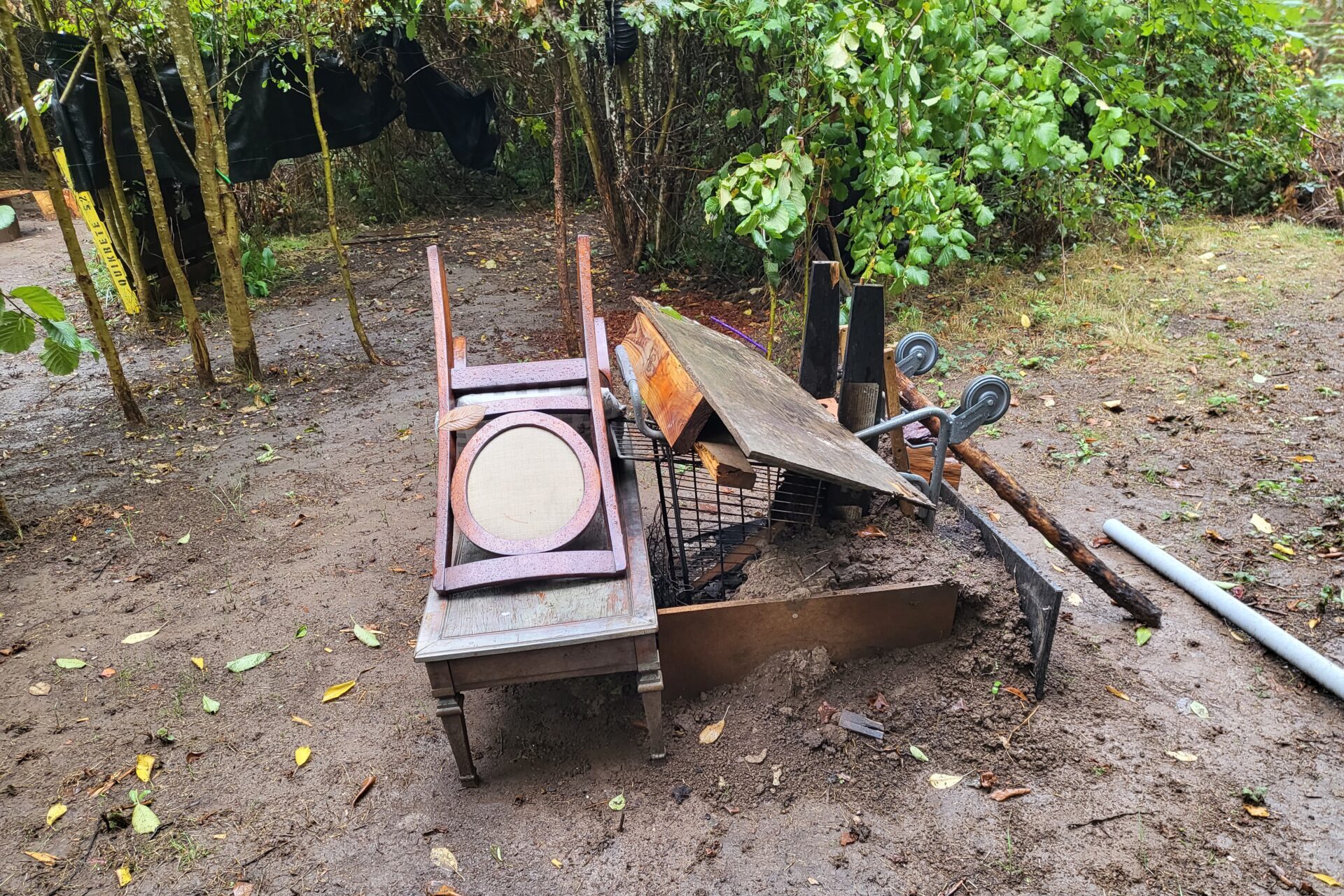 20230926_094252 Planning on cleaning your yard up this spring? Call Patriot Hauling & Junk Removal for Yard Debris Removal