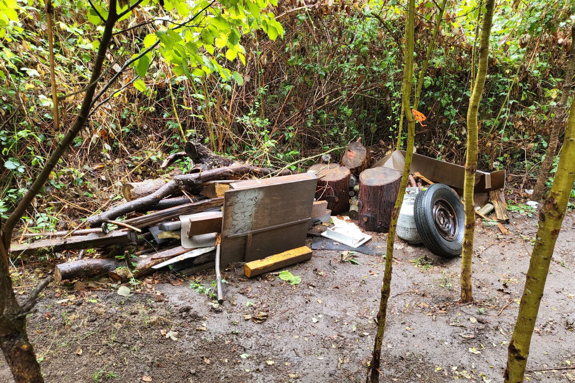 20230926_094300 Garage with unwanted household items